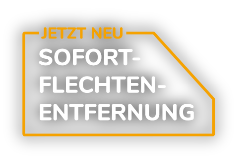 Sofort Flechtenentfernung Solar PV